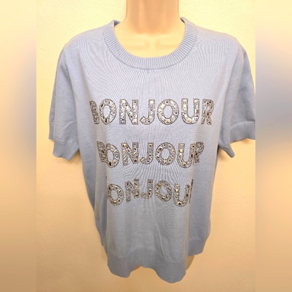 NWT Karl Lagerfeld Ladies Chambray Blue Bonjour Shirt Sleeve Crew Neck Sweater
